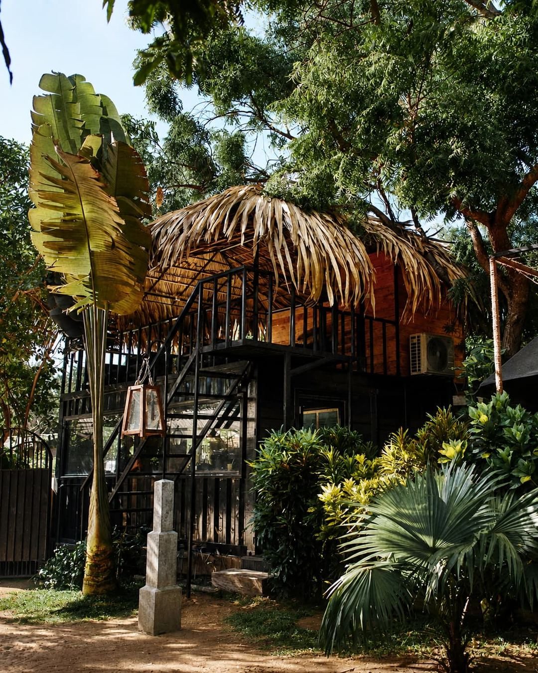 A raised timber and black steel building with a thatched palm roof and an external staircase, surrounded by trees and shrubs
