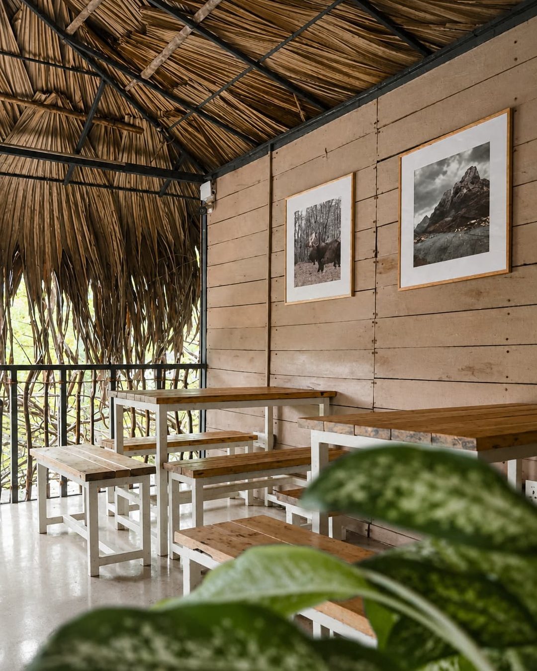 Wooden tables and benches on a polished floor, framed prints on a plank wall, thatched roof overhead